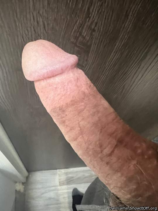Little morning wood today who wants to suck on it?