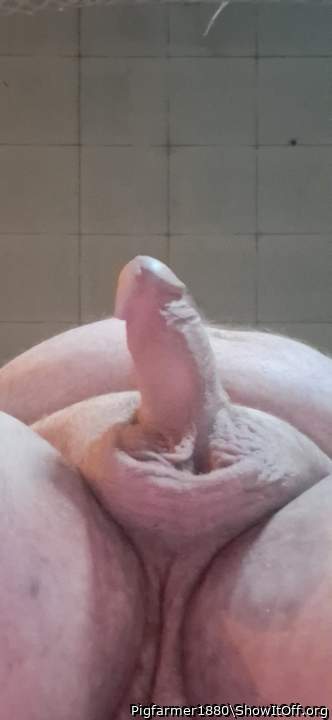 Adult image from Pigfarmer1880
