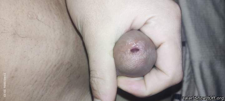 Adult image from salar