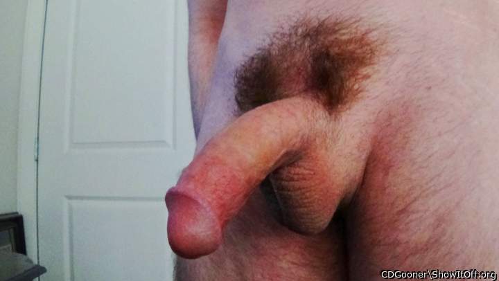 Adult image from CDGooner