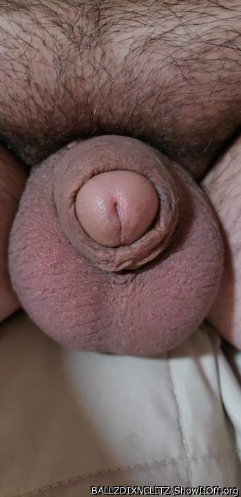 Nice soft cock and big balls