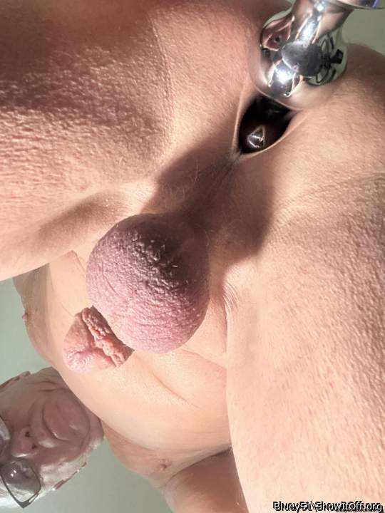 Adult image from Bluey51