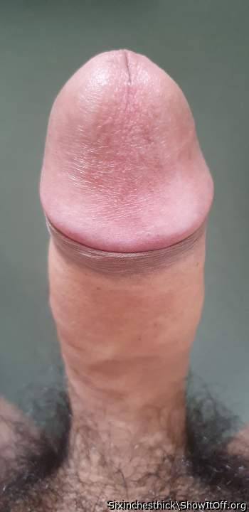 Adult image from Sixinchesthick