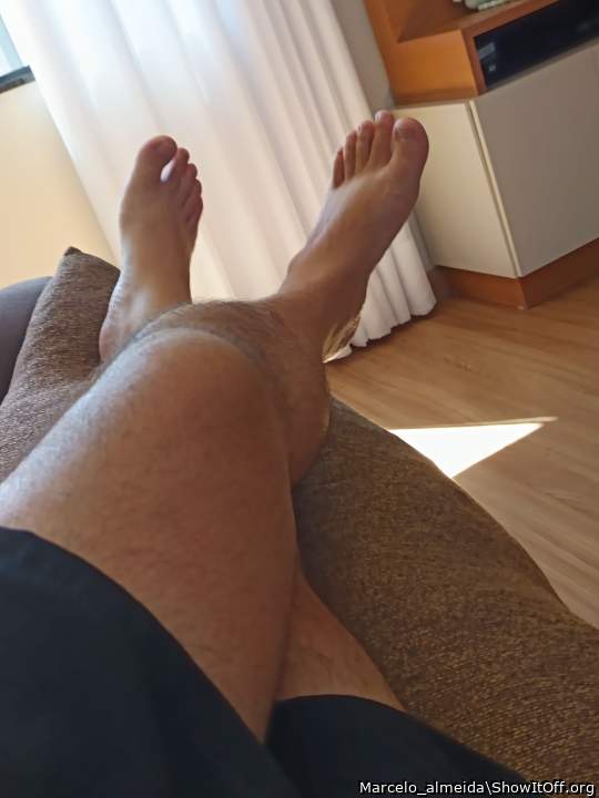 Adult image from Marcelo_almeida