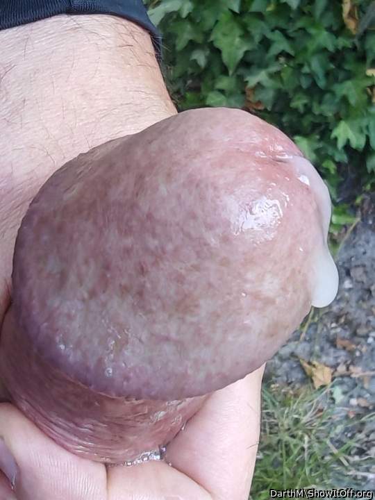 Cum drop on dickhead closeup