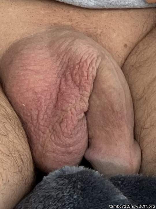 Adult image from ttimboy2