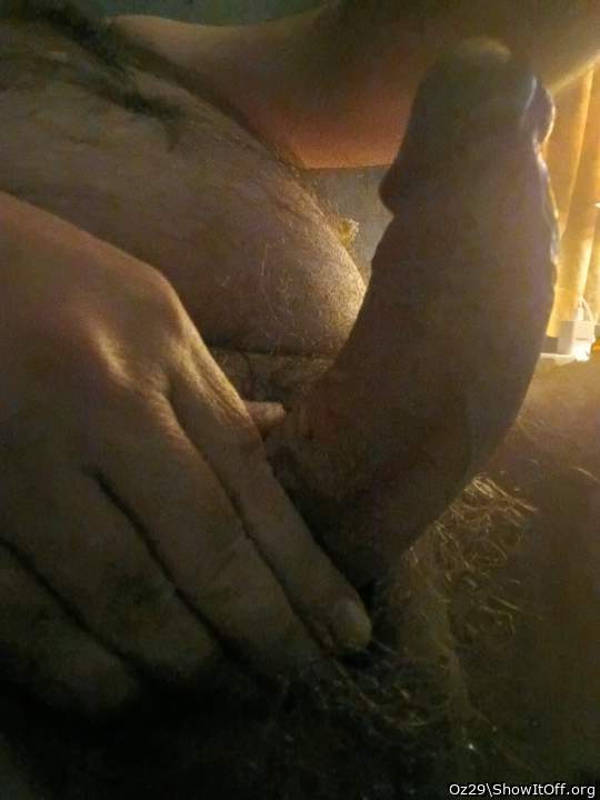 Adult image from Oz29