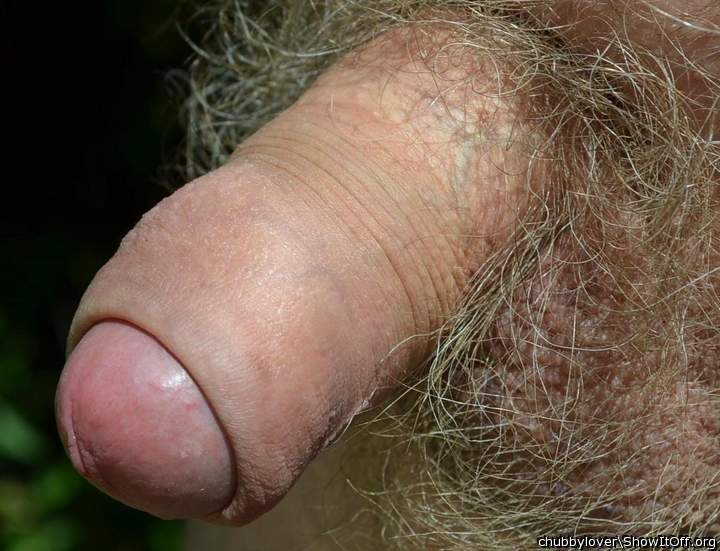 my dick is getting hard