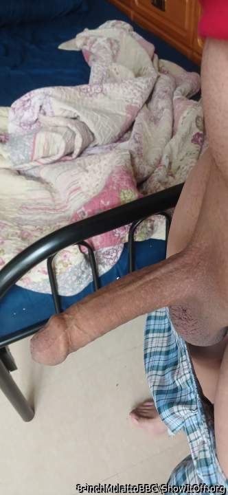 Adult image from 8-inchMulattoBBC