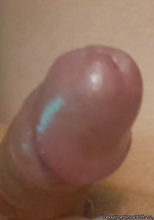 Adult image from Trekkertje