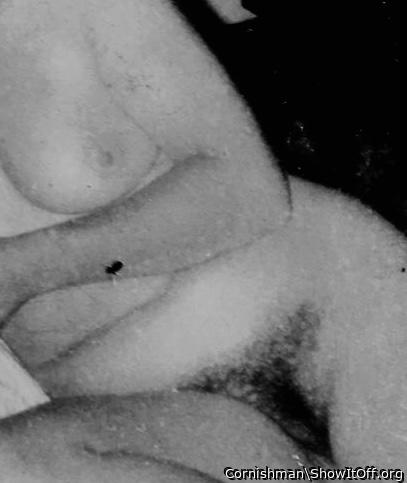 Adult image from Cornishman