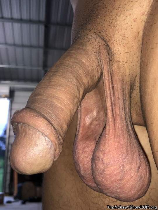 Adult image from TimMcRaw