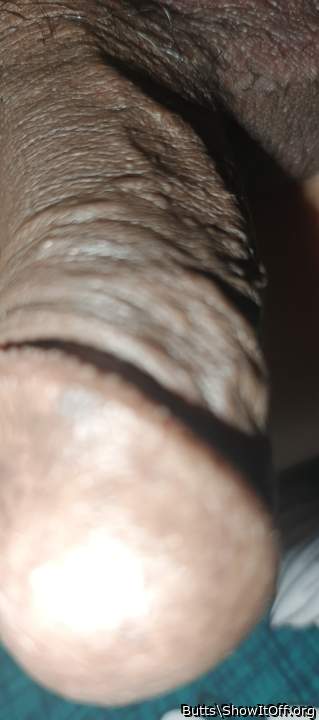 Adult image from Butts