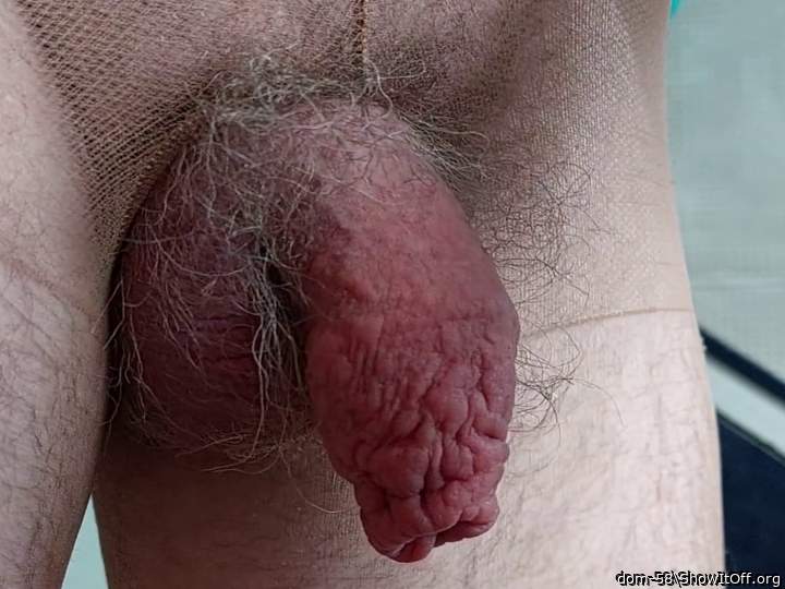 Adult image from dom-58