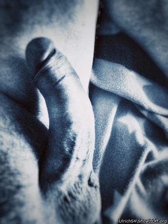 Adult image from Ulrich54