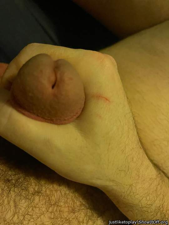 Adult image from justliketoplay