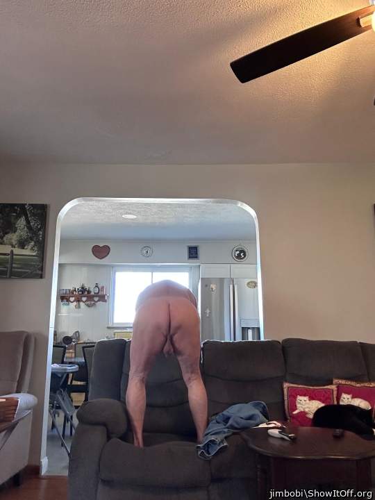 Adult image from jimbobi