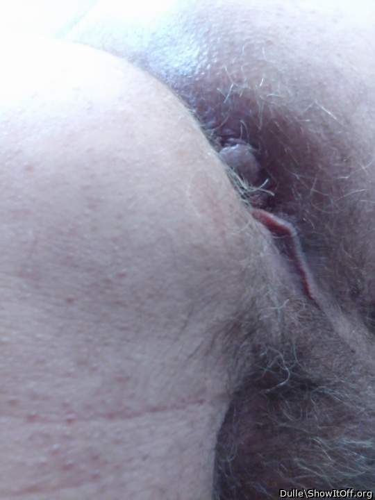 Adult image from Dulle