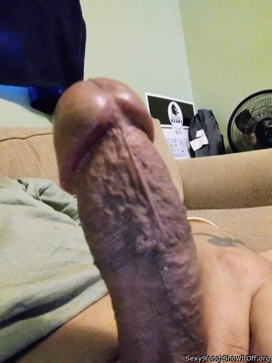 Adult image from Sexy9long