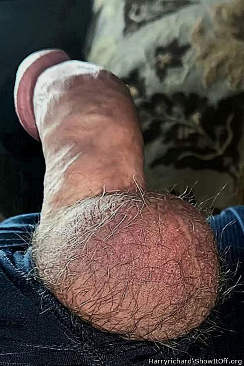 Adult image from Harryrichard