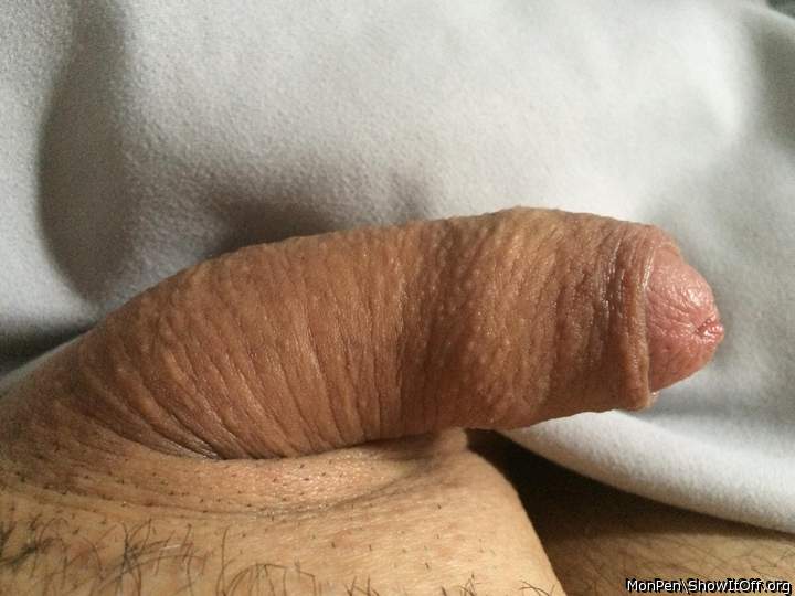 beautiful penis 