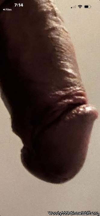 Adult image from Woody123