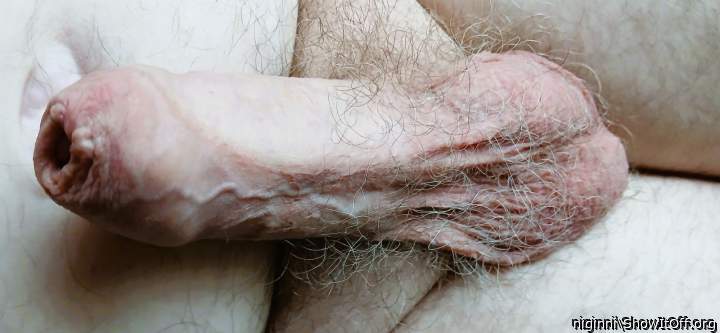 Adult image from niginni