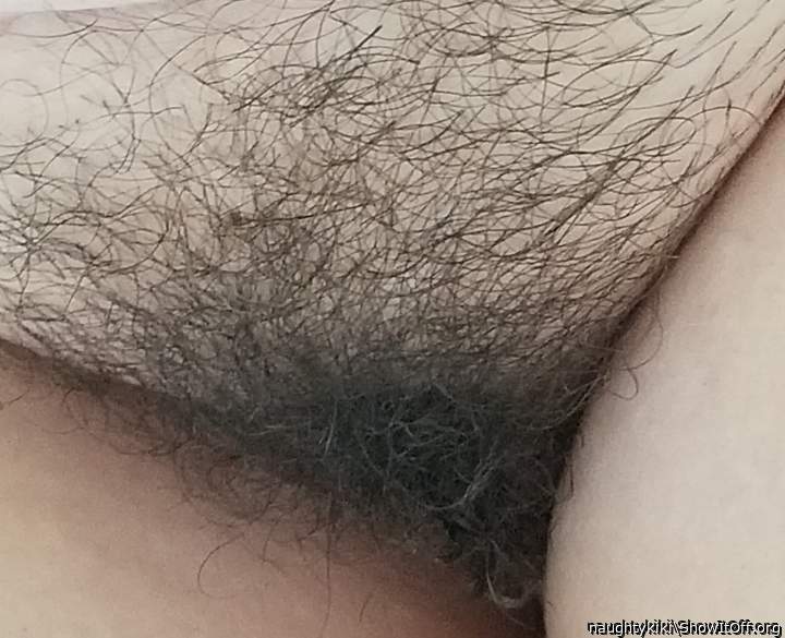 Such a delightful hairy cunt