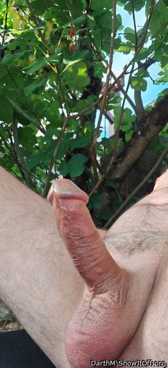 Horny in the garden this morning