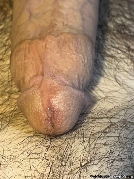 Adult image from Watchthis2