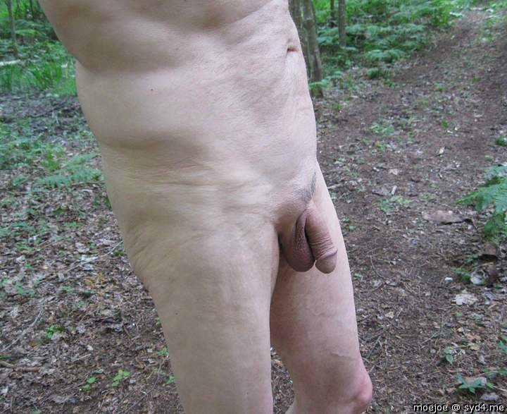 On vacation:  Naked hiking in the woods....