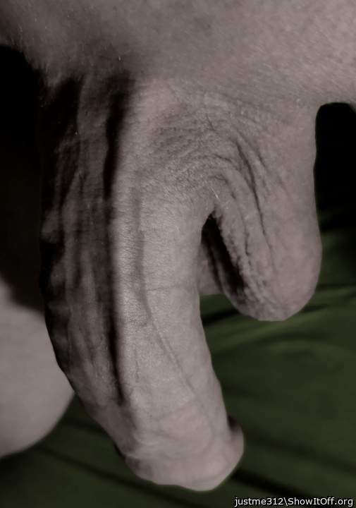 Diese Schwanzader....  