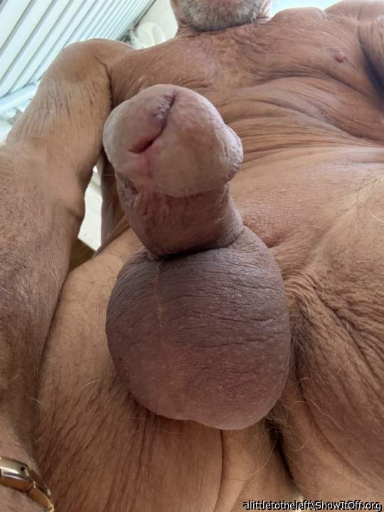 Adult image from alittletotheleft