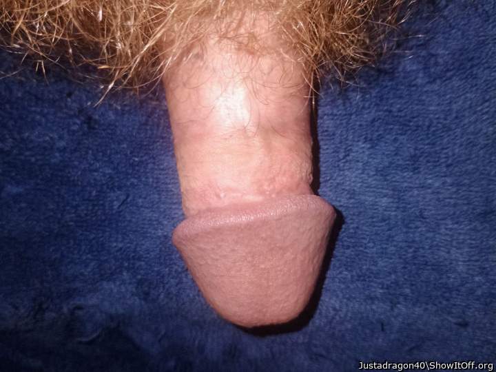 Adult image from Justadragon40