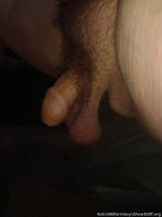 Adult image from Rob1988farmboy