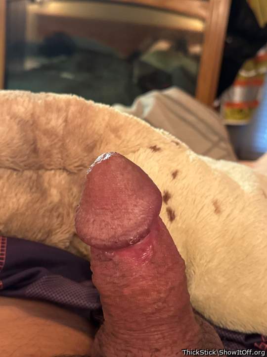 Adult image from ThickStick