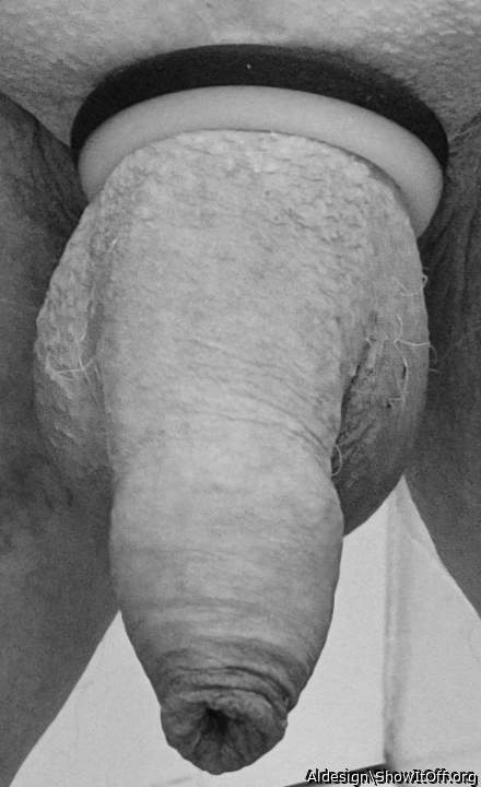 Looking delicious hanging down and wanting to play!