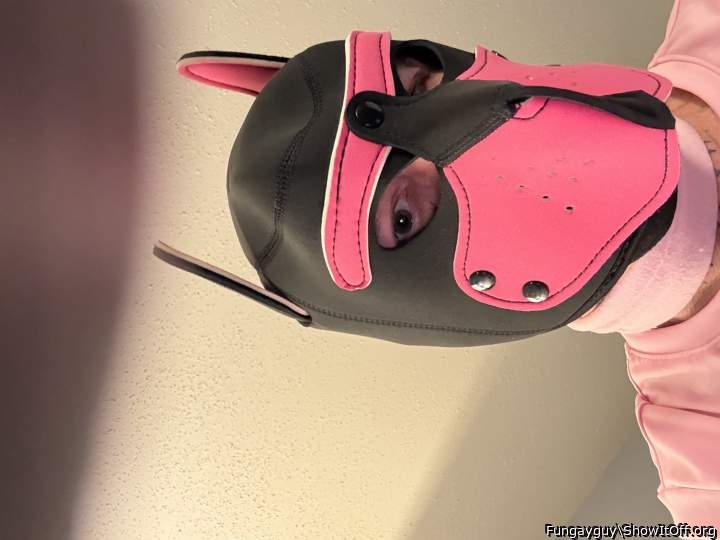 Puppy