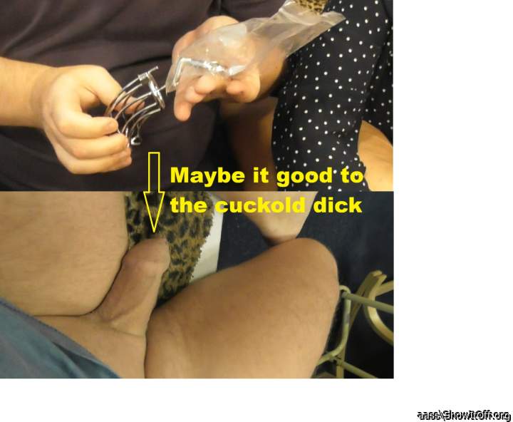 Chastity to the sucklod dick