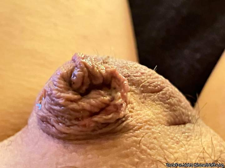 Adult image from DickFun1981