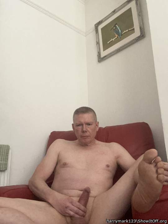 Adult image from harrymark123