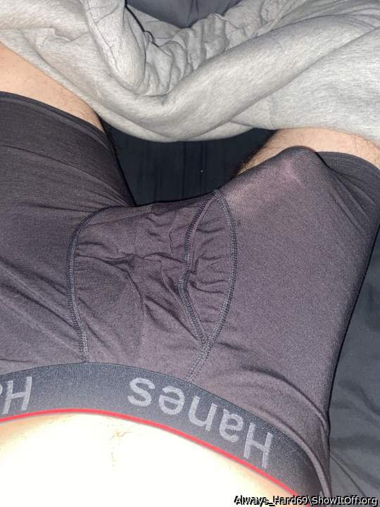 Adult image from Always_Hard69