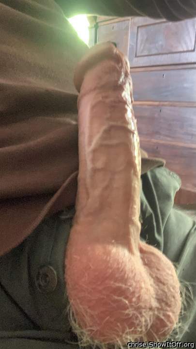 TODAYS COCK