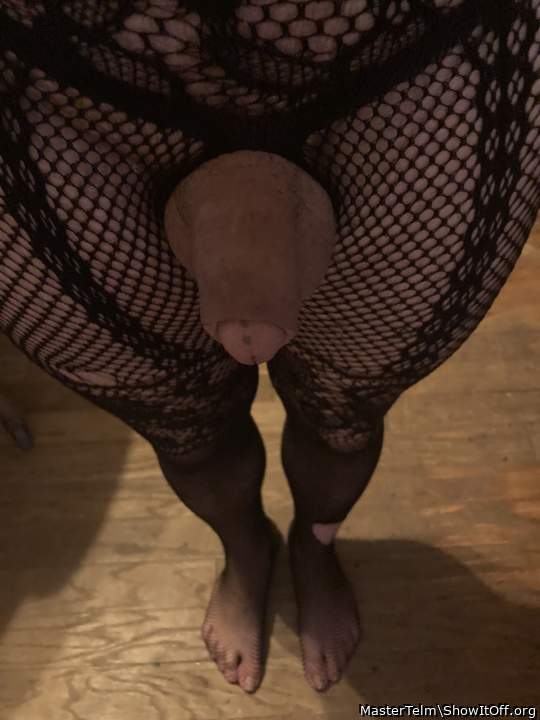 Adult image from MasterTelm