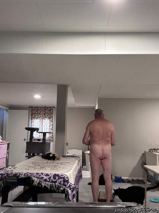 Adult image from jimbobi