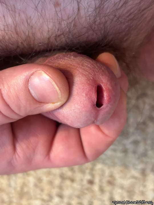 Adult image from cjsims