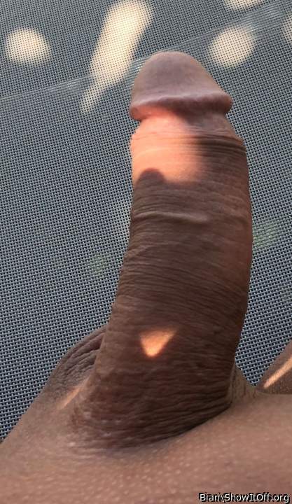 Adult image from Bian