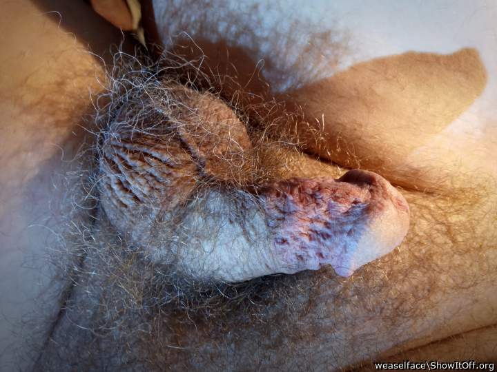 Adult image from weaselface