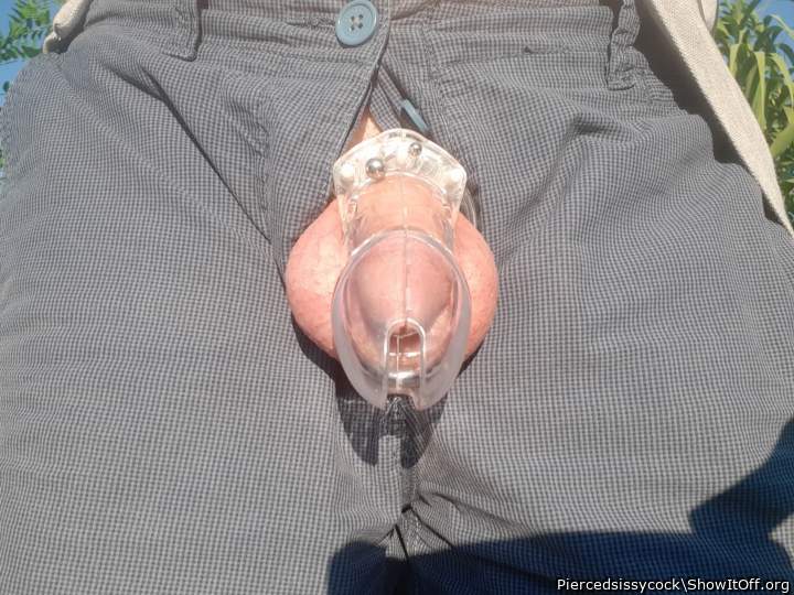 Adult image from Piercedsissycock