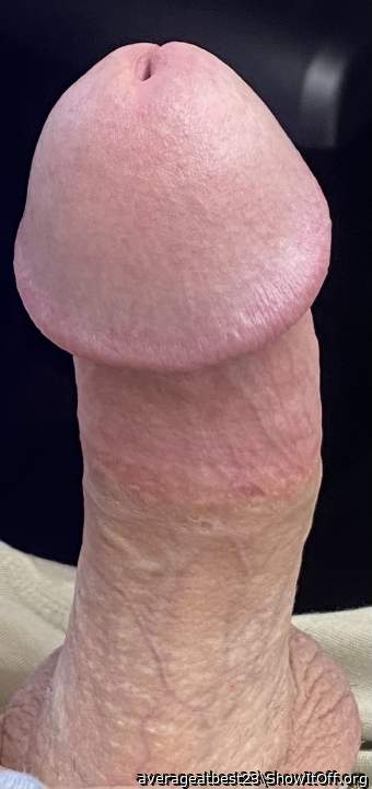 Would you fuck or suck this cock